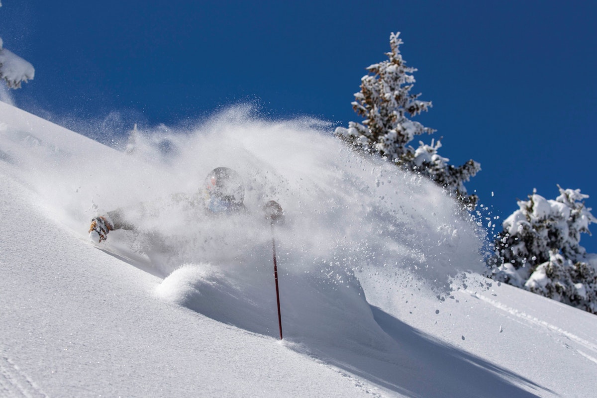 Montucky. Road. Trip.