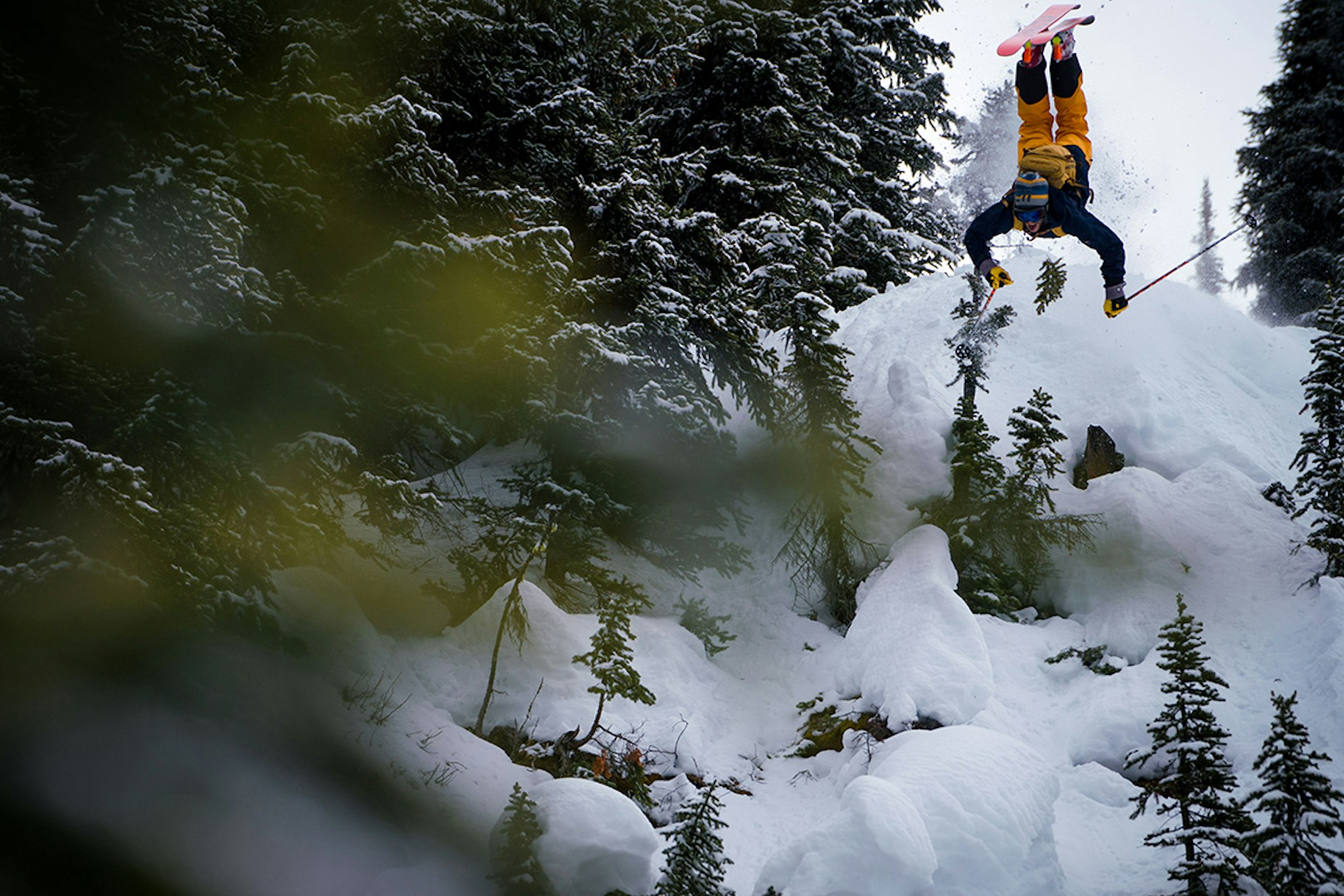 Which ski gear brands would you buy? (Participate and win prizes from The Ski Monster)