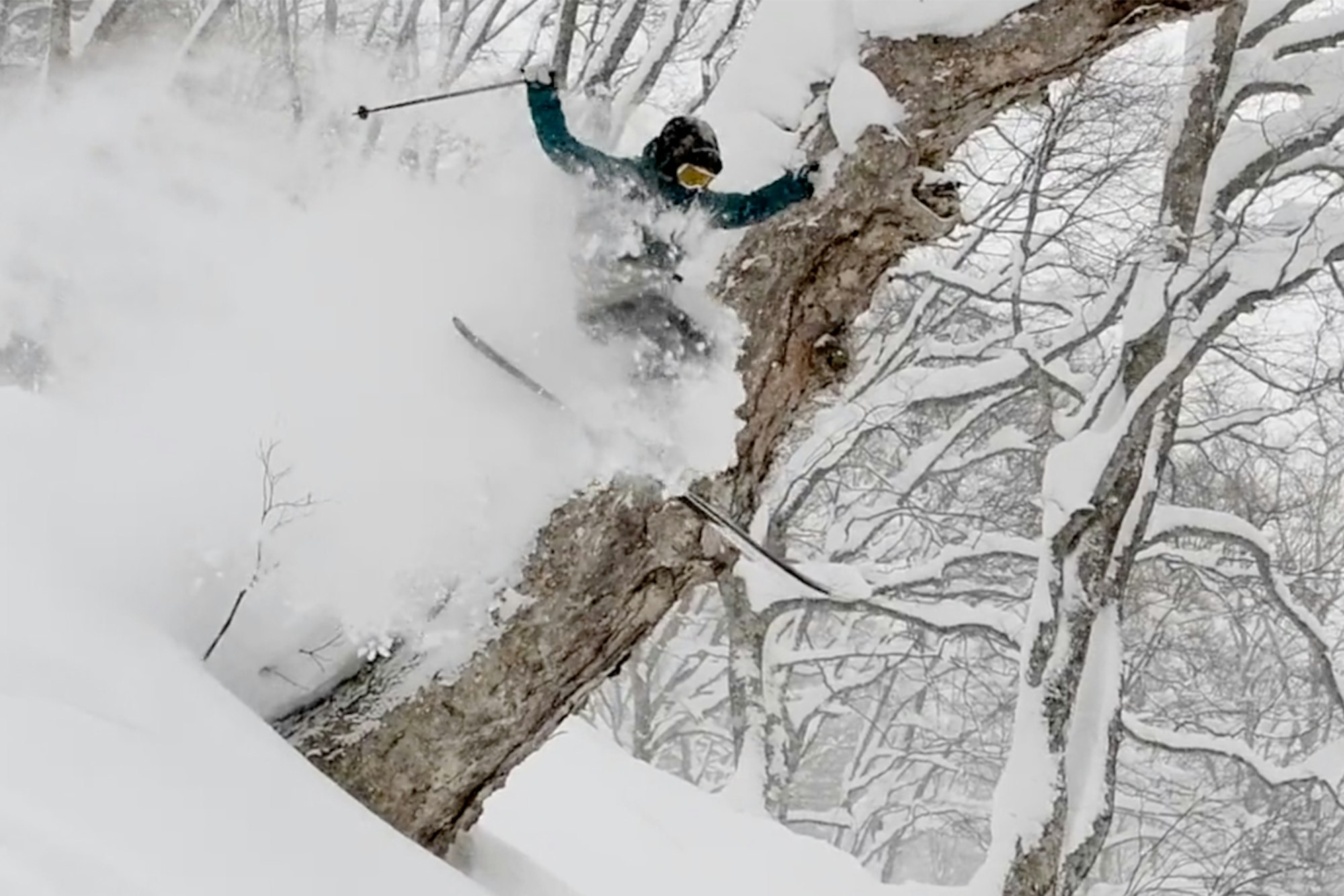 Stop what you're doing: "Jyosei" is now online for your viewing pleasure