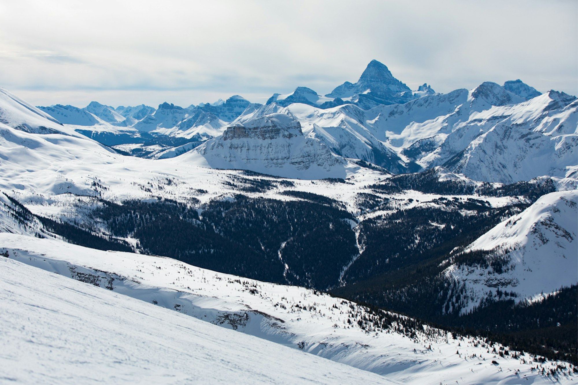 The Mountain Collective: A ski pass made for adventure-seekers