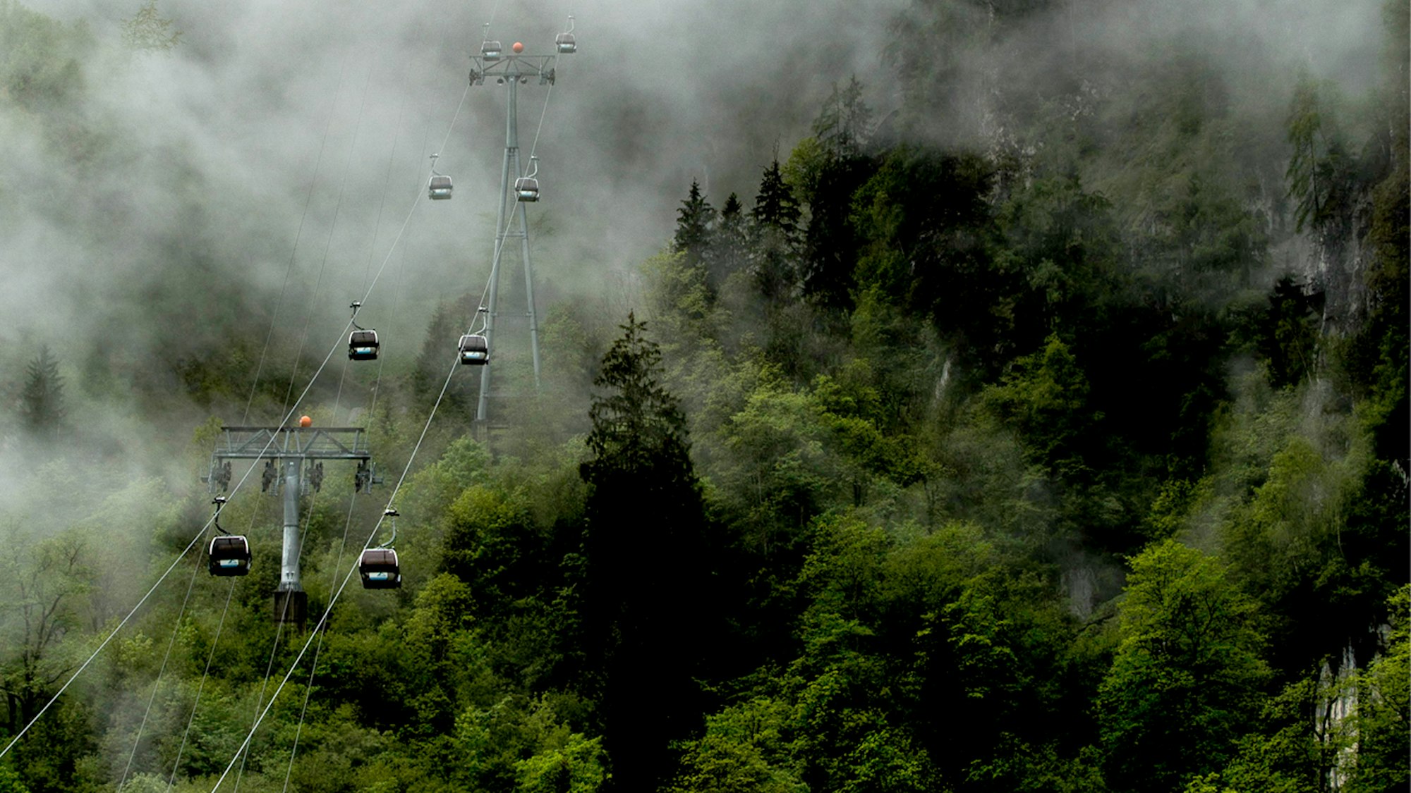 The Hills Are Alive!