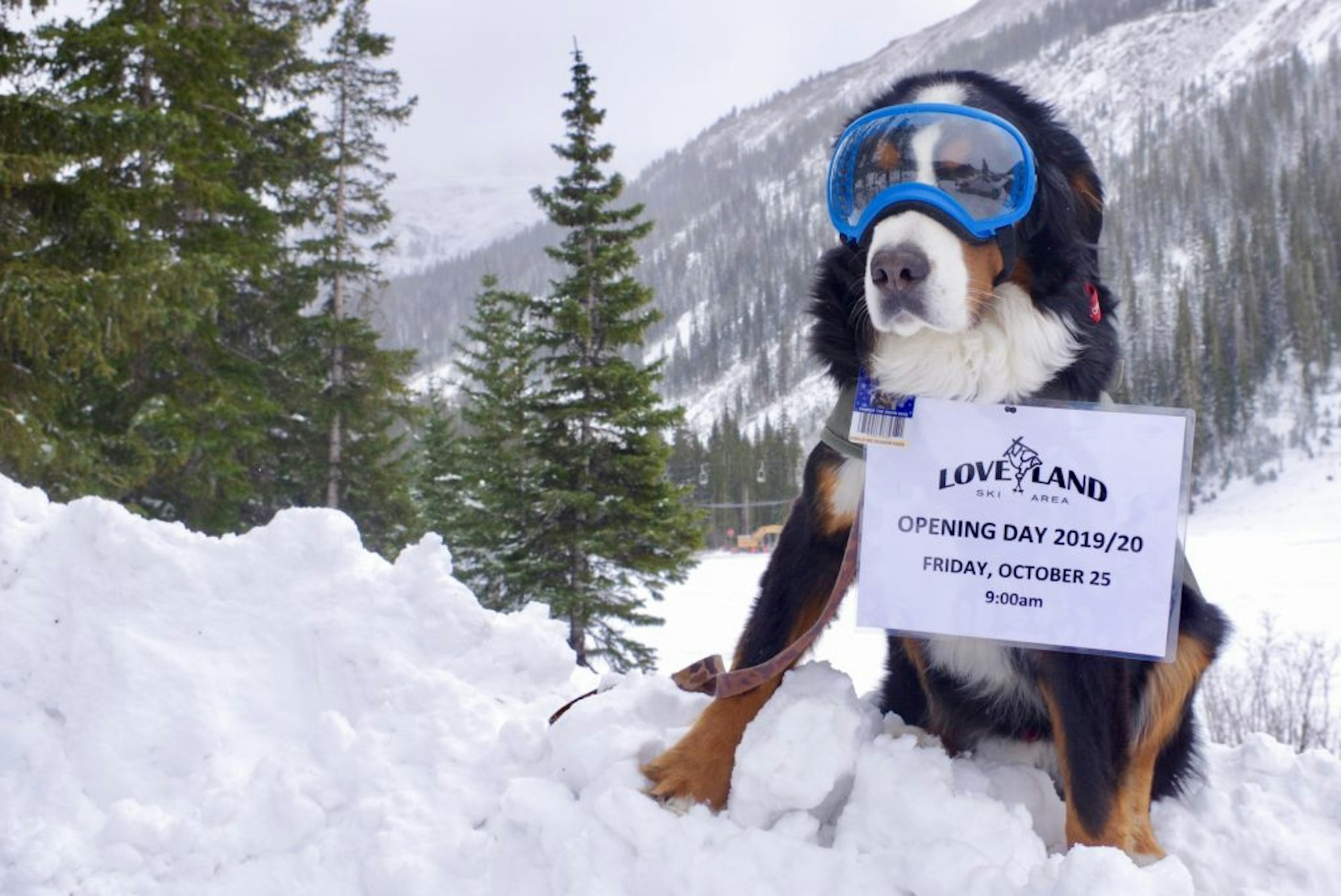 Loveland Ski Area opens TODAY for the 2019-20 season