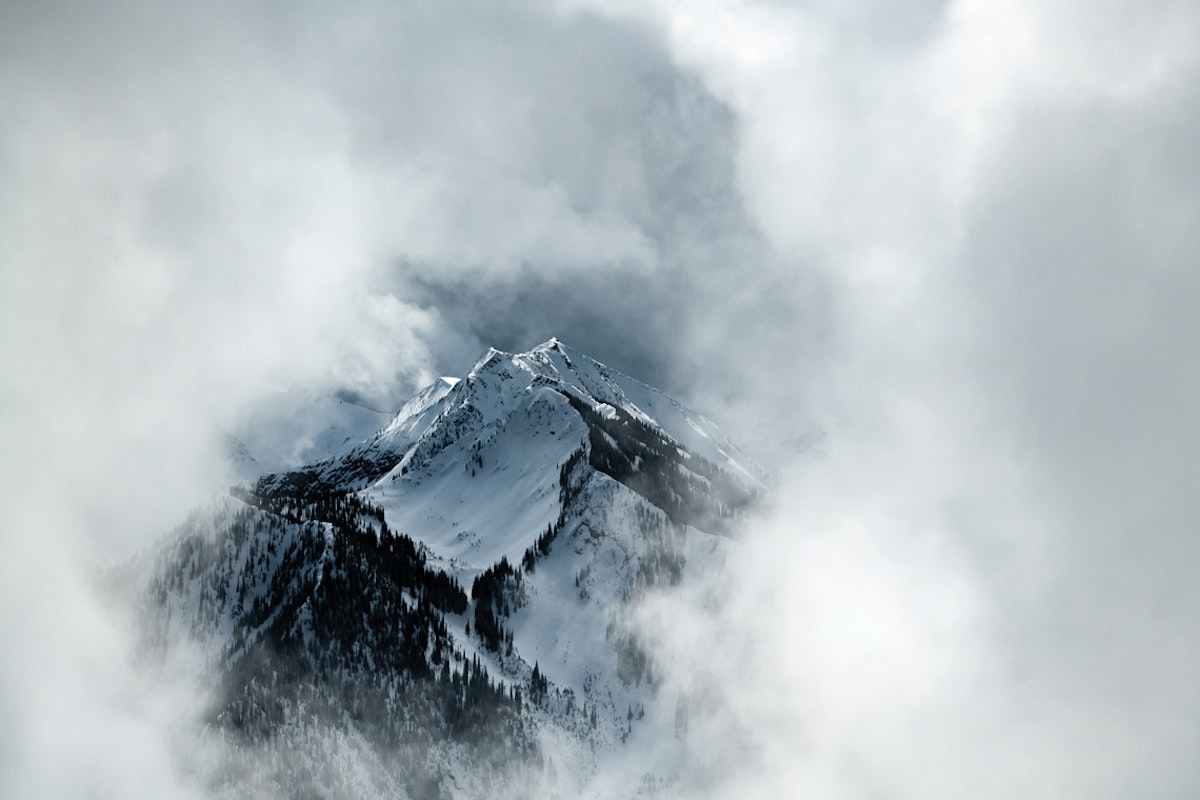 On the prowl at Retallack