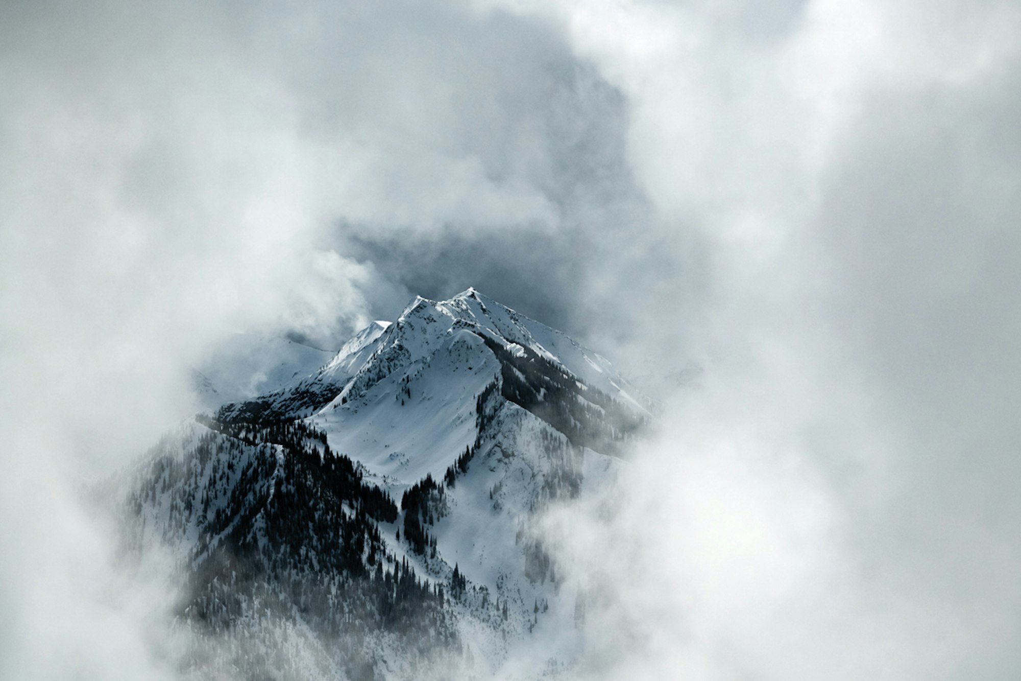 On the prowl at Retallack