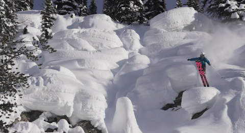 Rob Heule takes a Sick Day