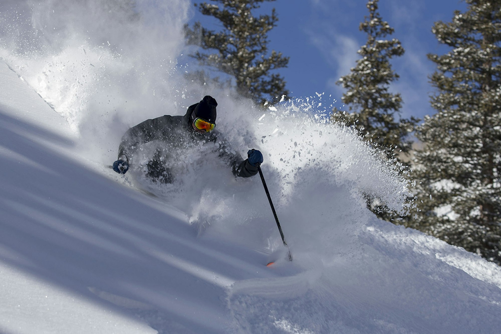 Remembering Sam Coffey | 1990 – 2019