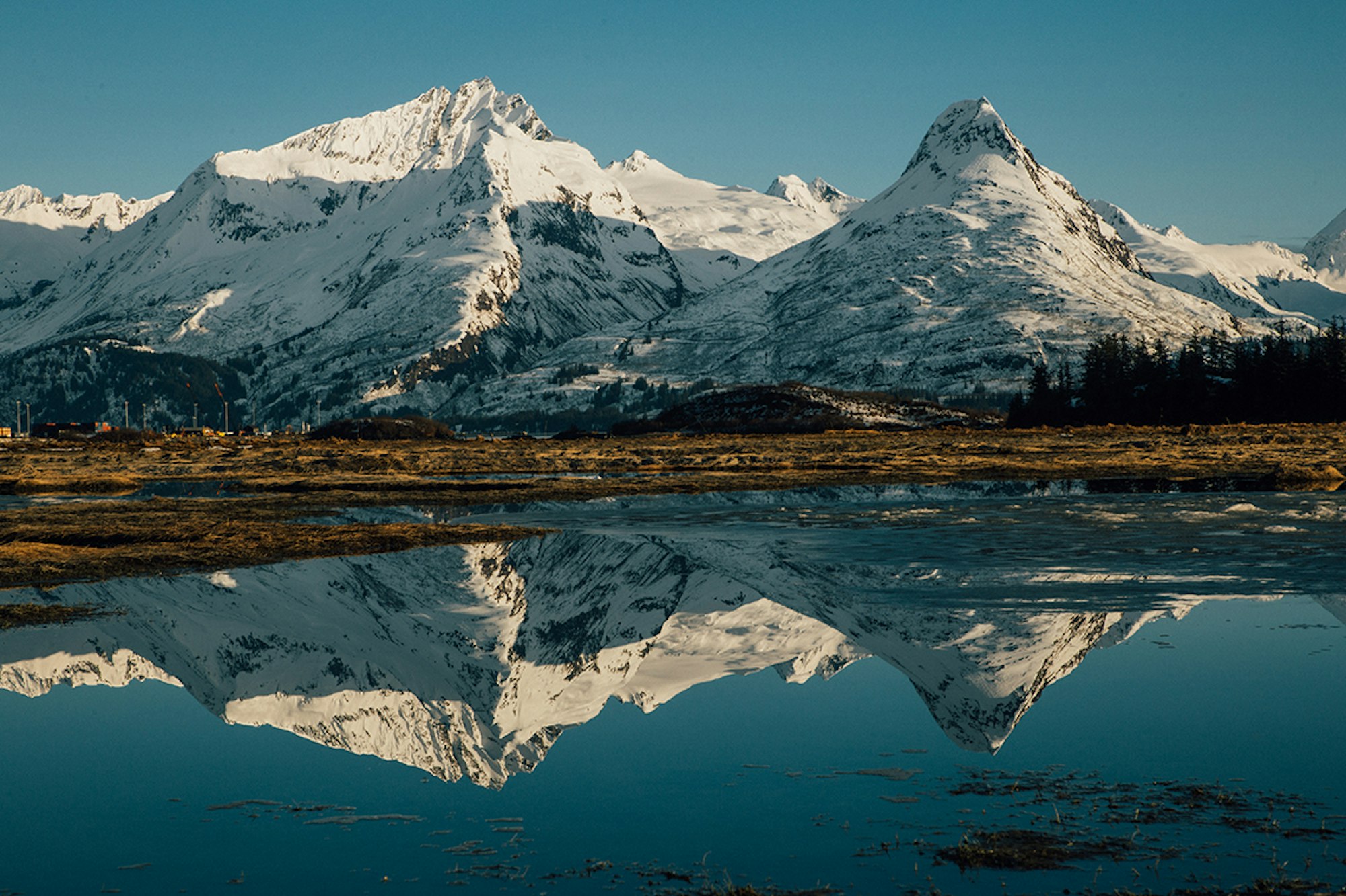 No Agenda: Journey to the promised land with Troy Murphy