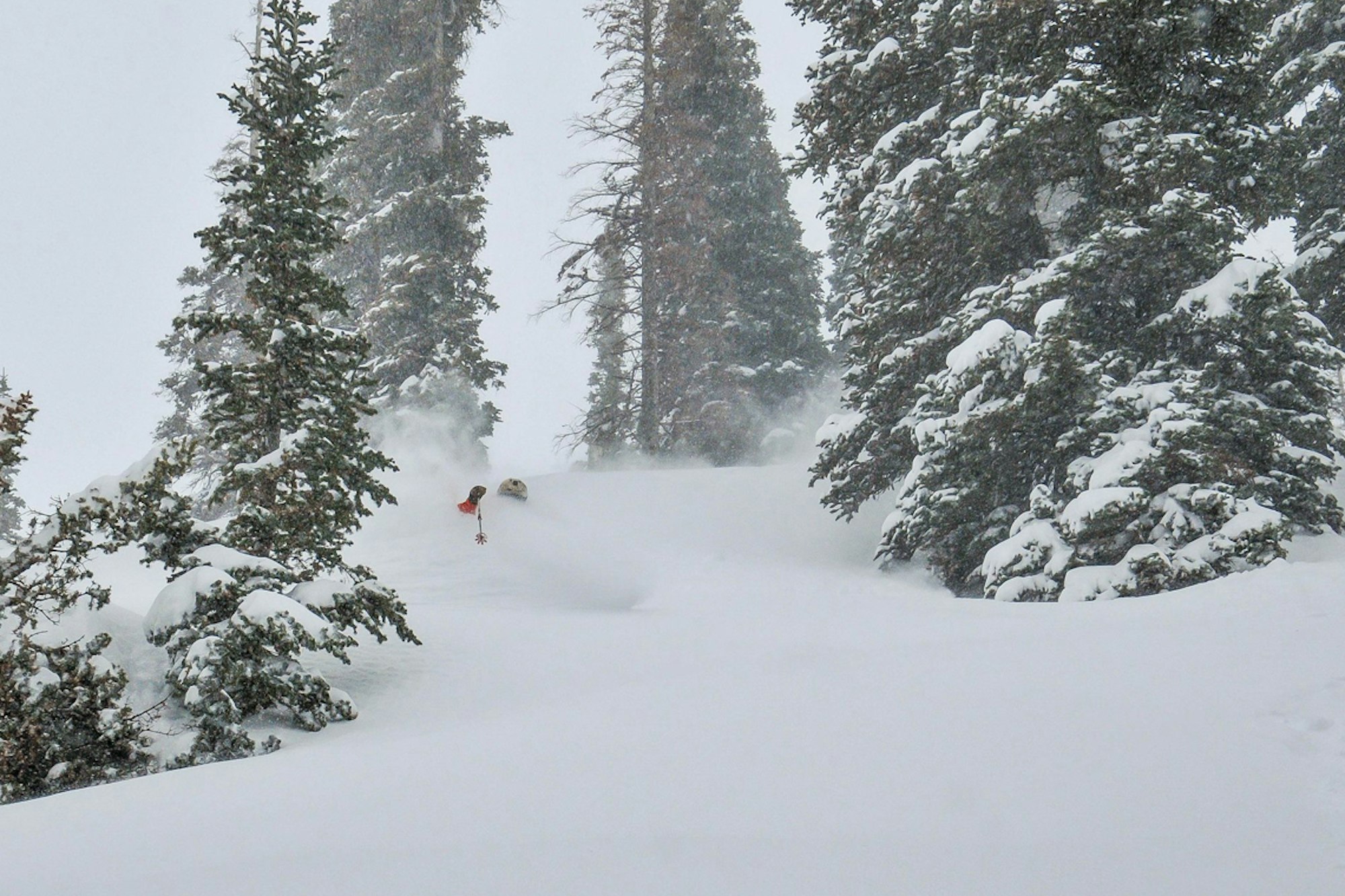 All About That Base: The deepest snow depths in North America, April 2019