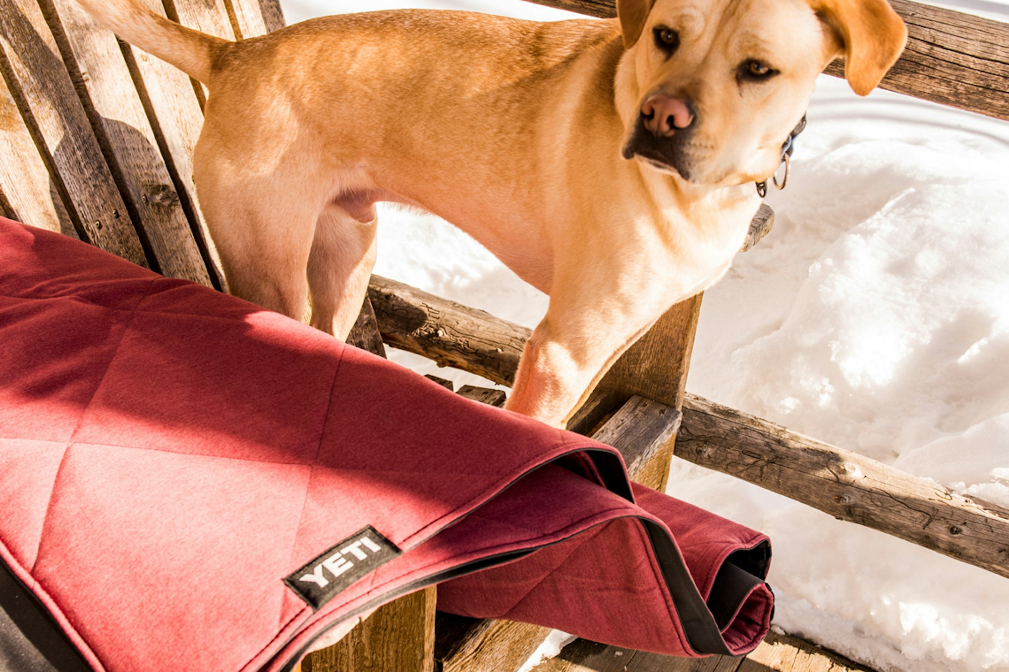 Gear Spotlight: YETI Lowlands Blanket & Stackable Ramblers