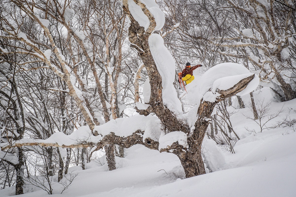 Lessons From Last Chair — Pass the Miso