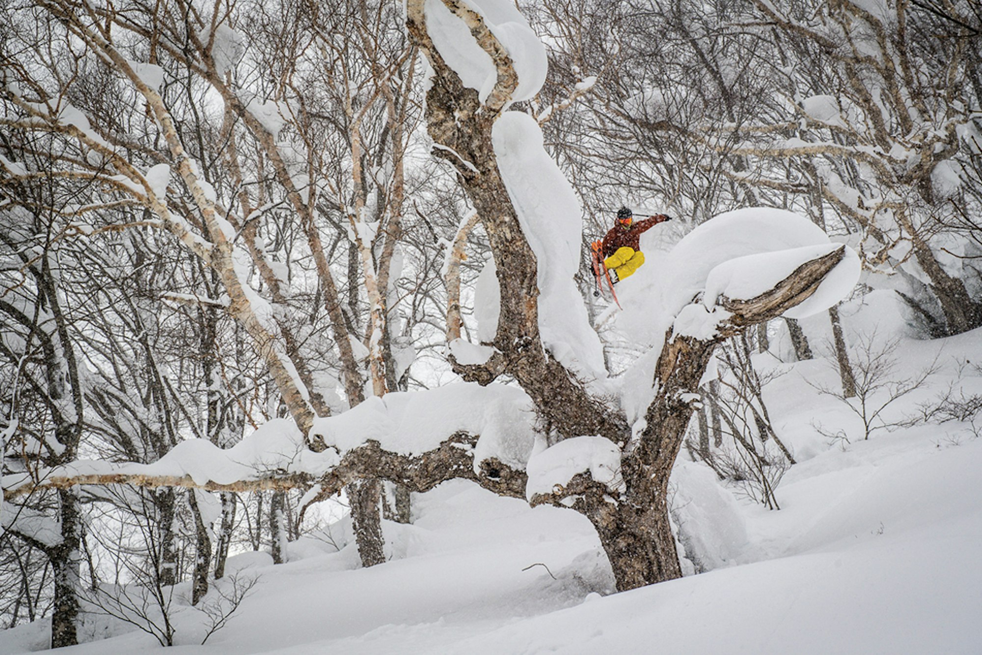 Lessons From Last Chair — Pass the Miso