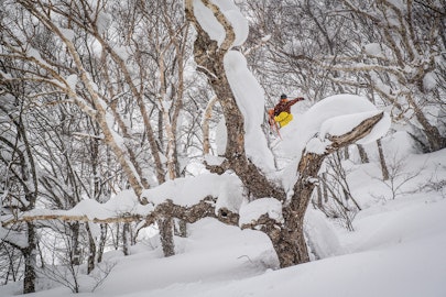 Lessons From Last Chair — Pass the Miso