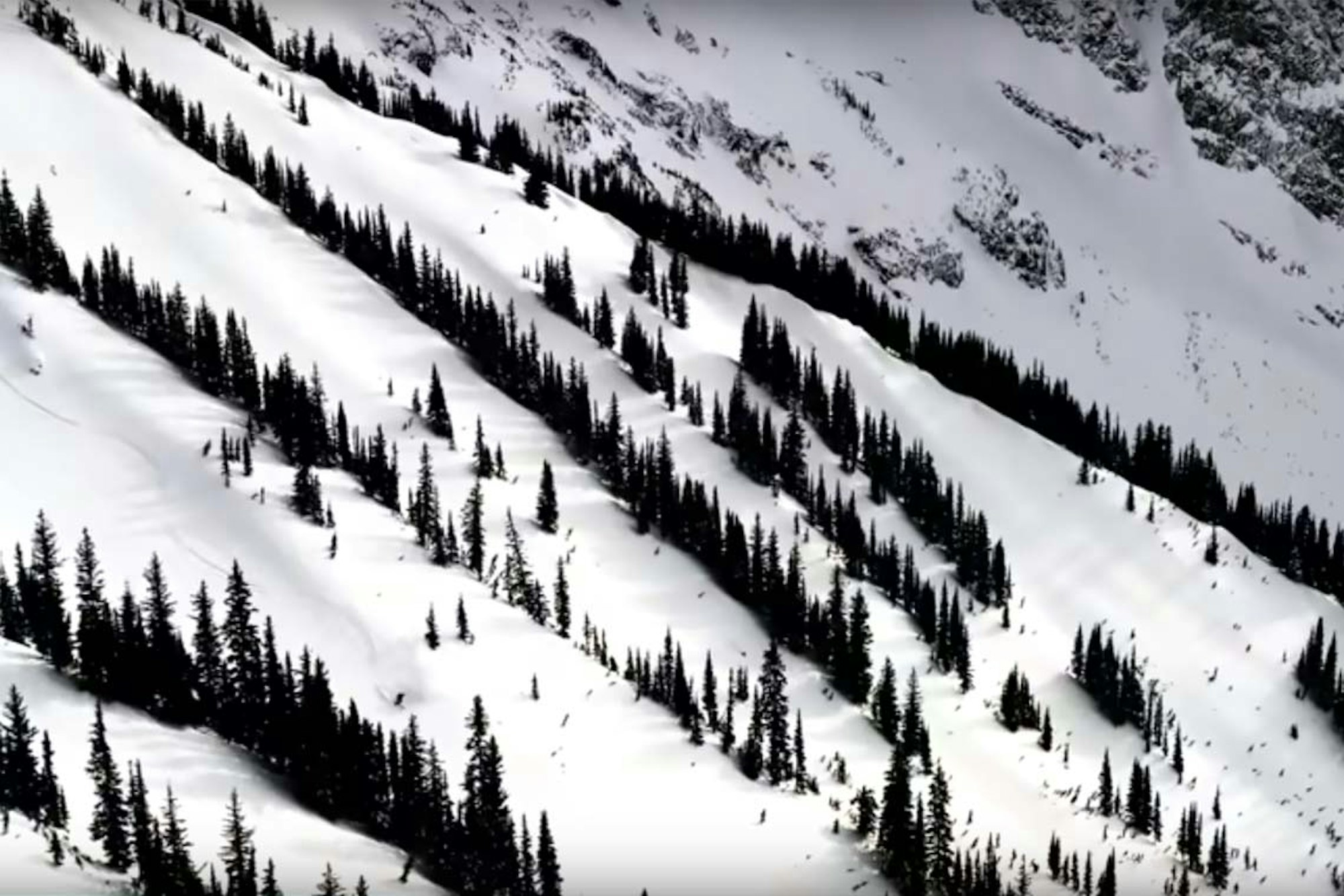 [Watch Now] Greg Hill is The Electric Adventurer