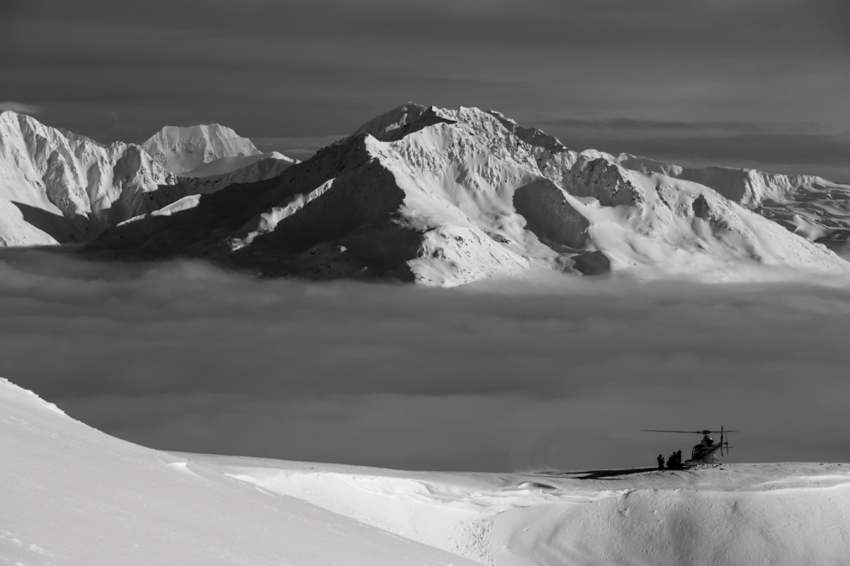 Setting the Standard