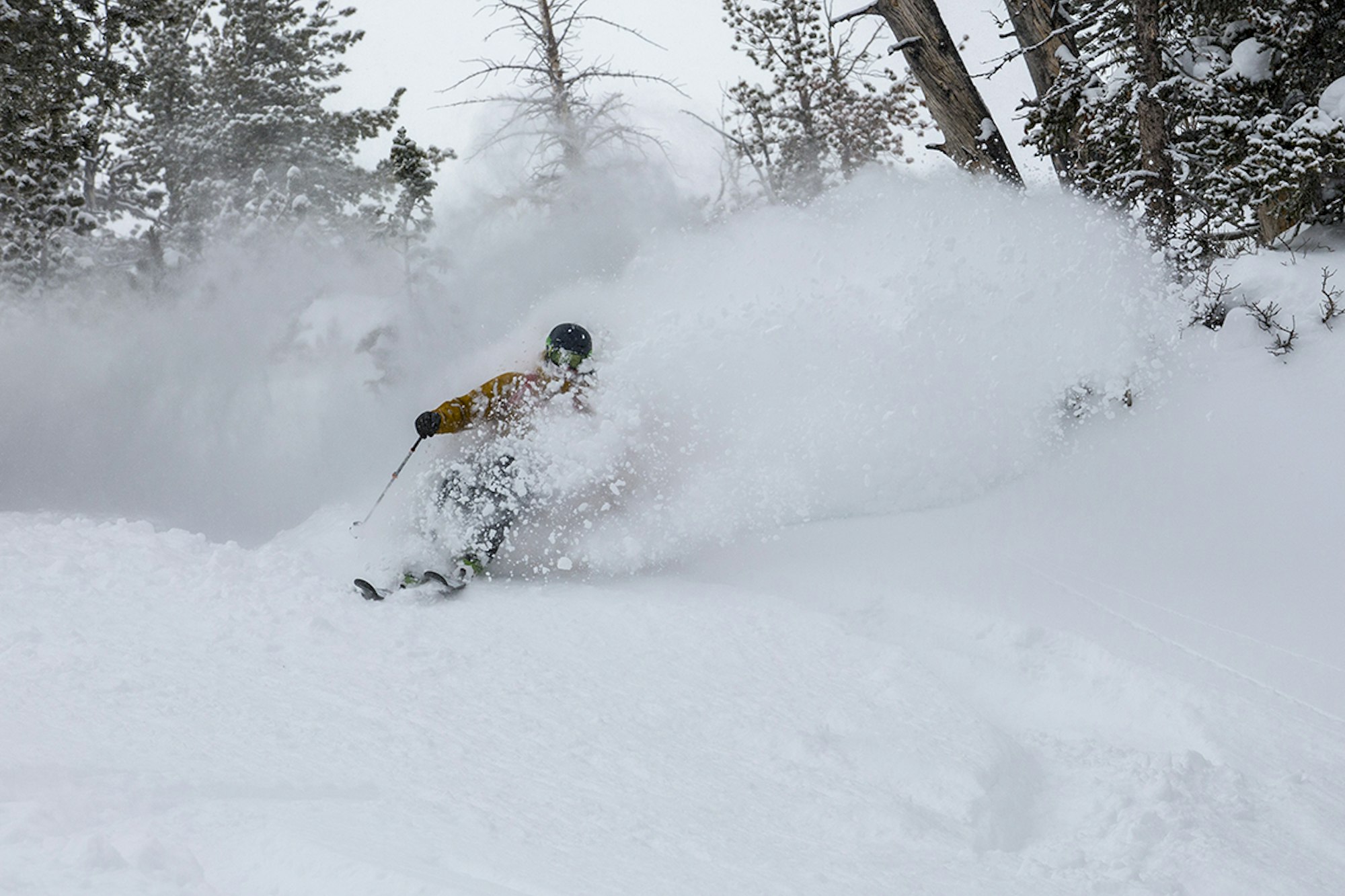 Jackson Hole Mountain Resort closes all backcountry gates amidst heavy storm cycle