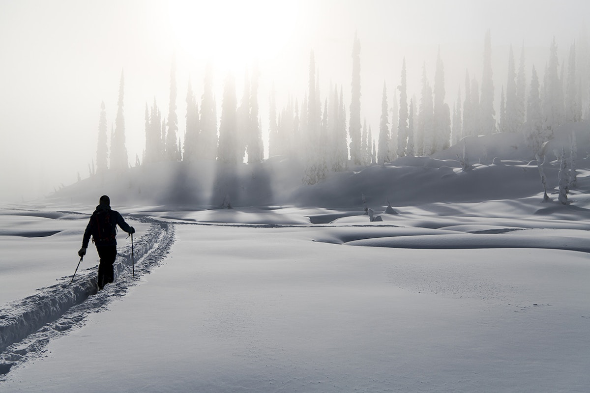 Letter From the Editor — 2019 Backcountry Issue