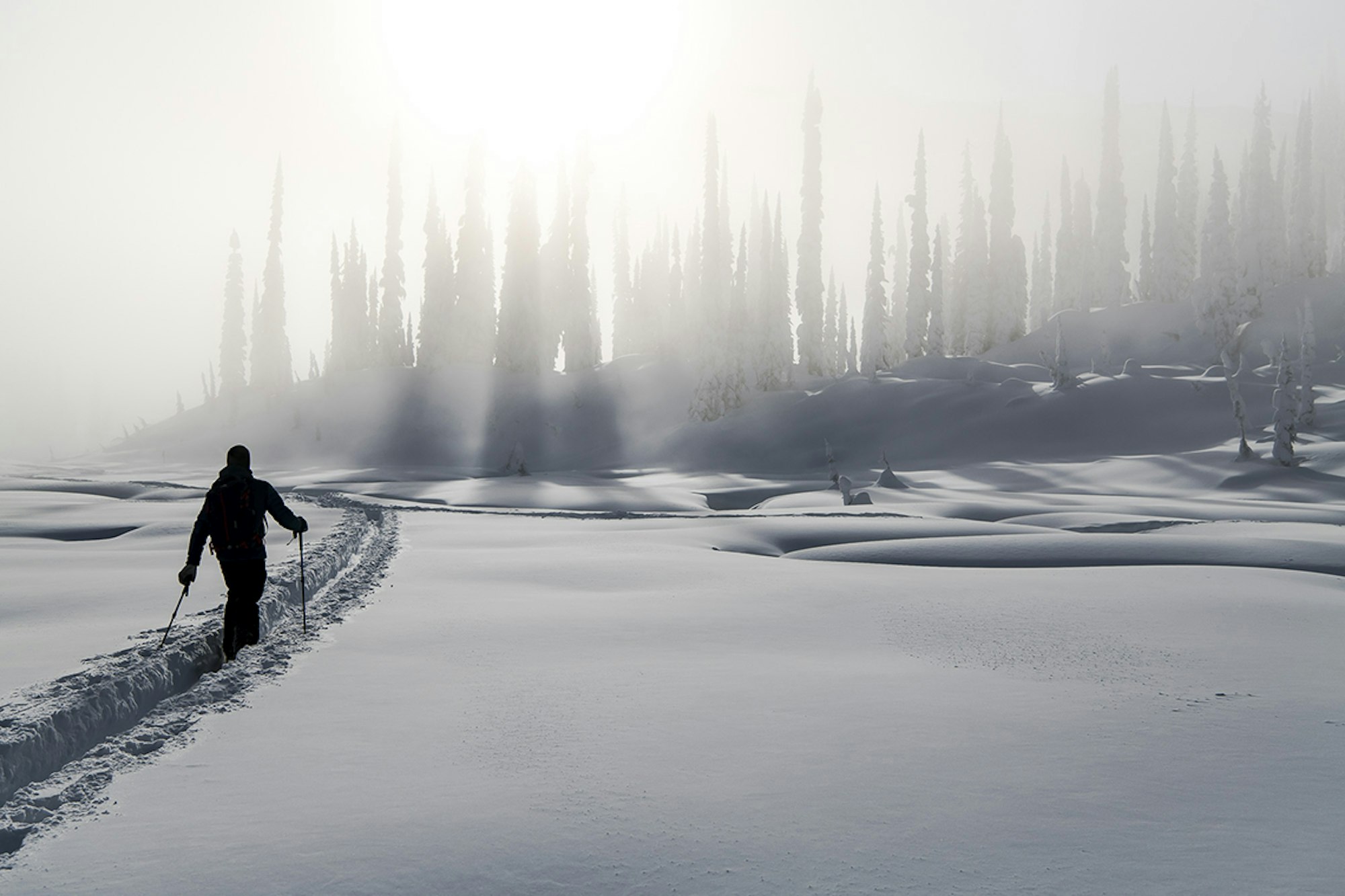 Letter From the Editor — 2019 Backcountry Issue