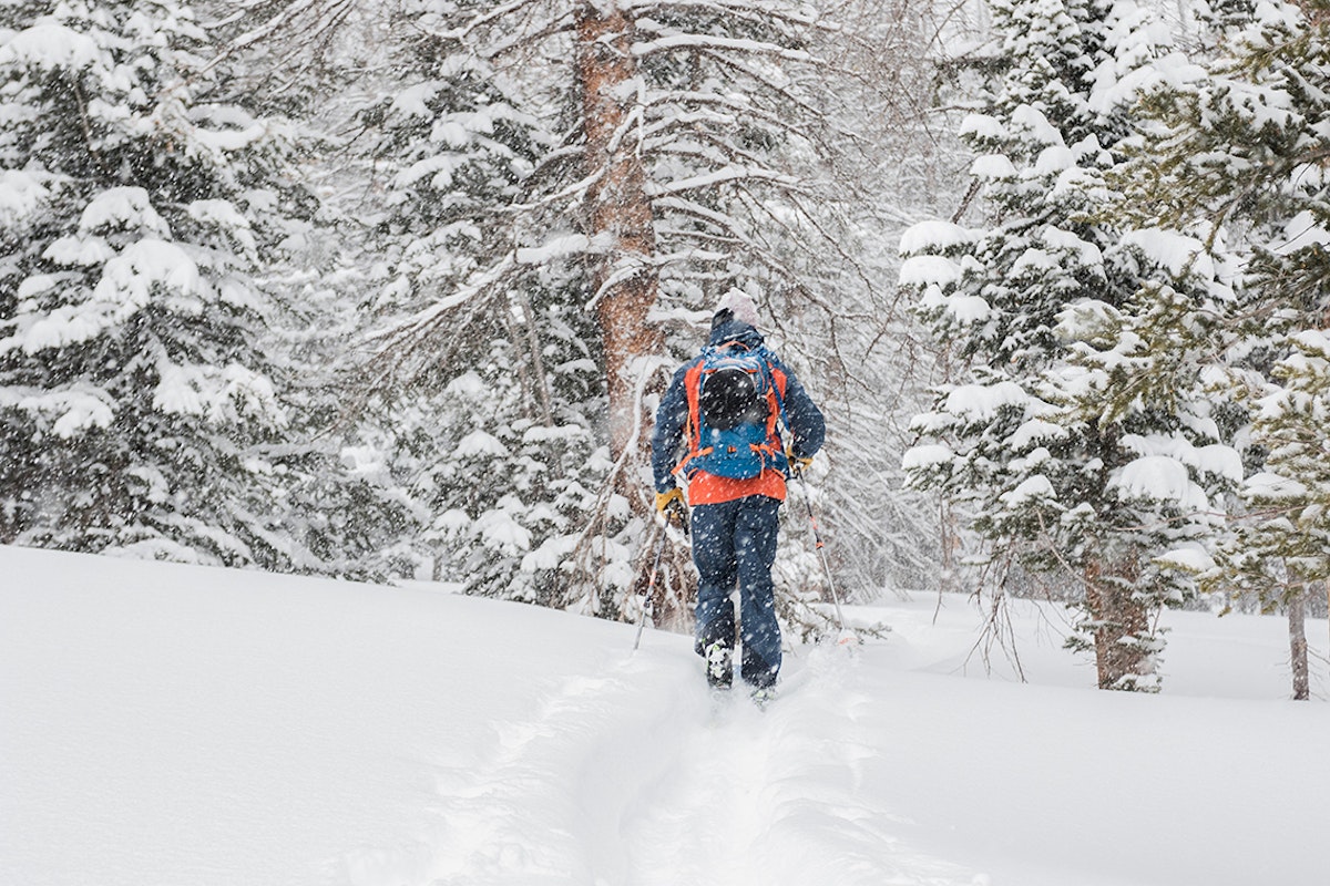 FREESKIER does the 2019 Power of Four: Part 2, gear