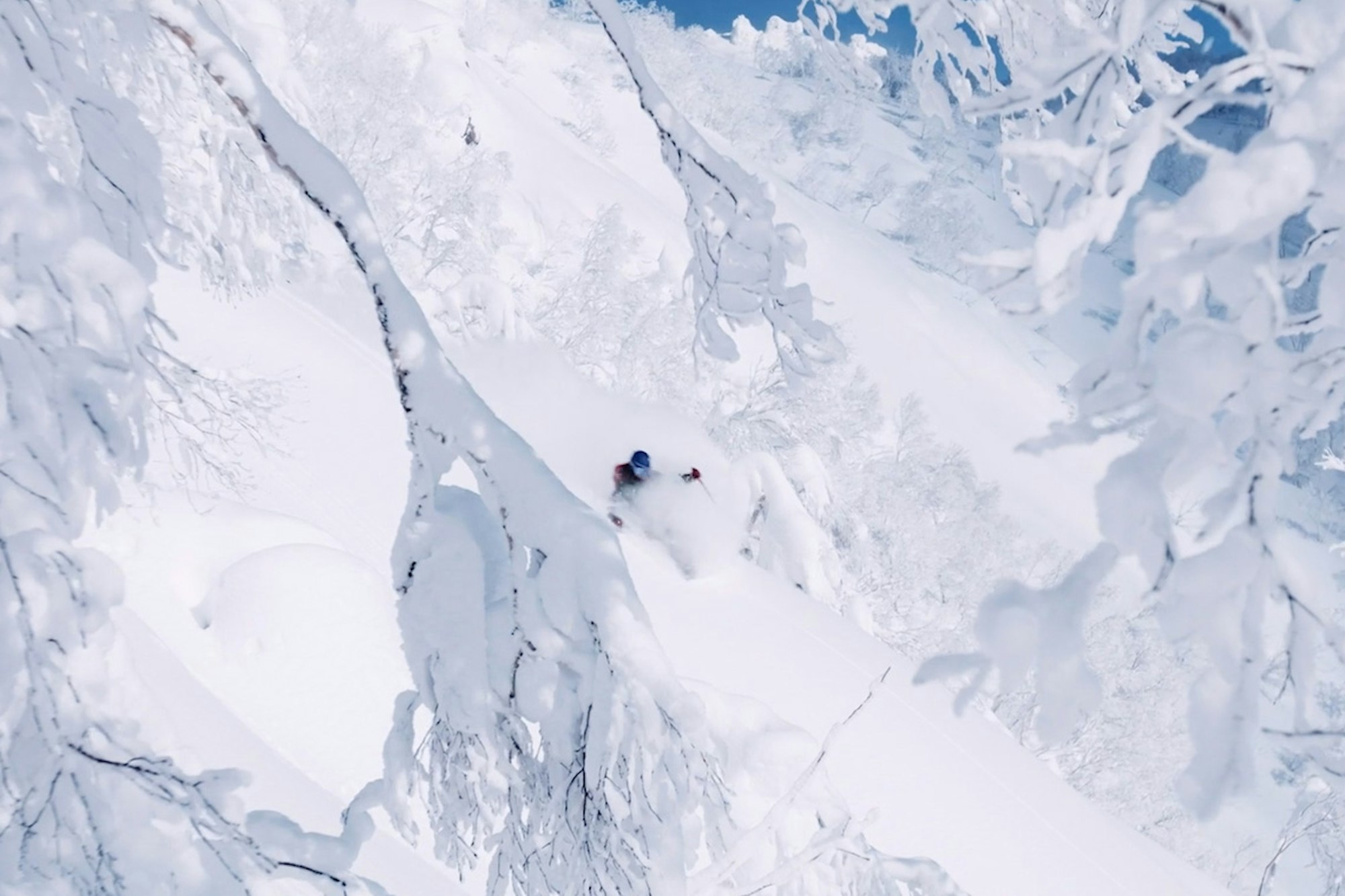 Grab your Sunday Best, Hayden Price is taking us to church