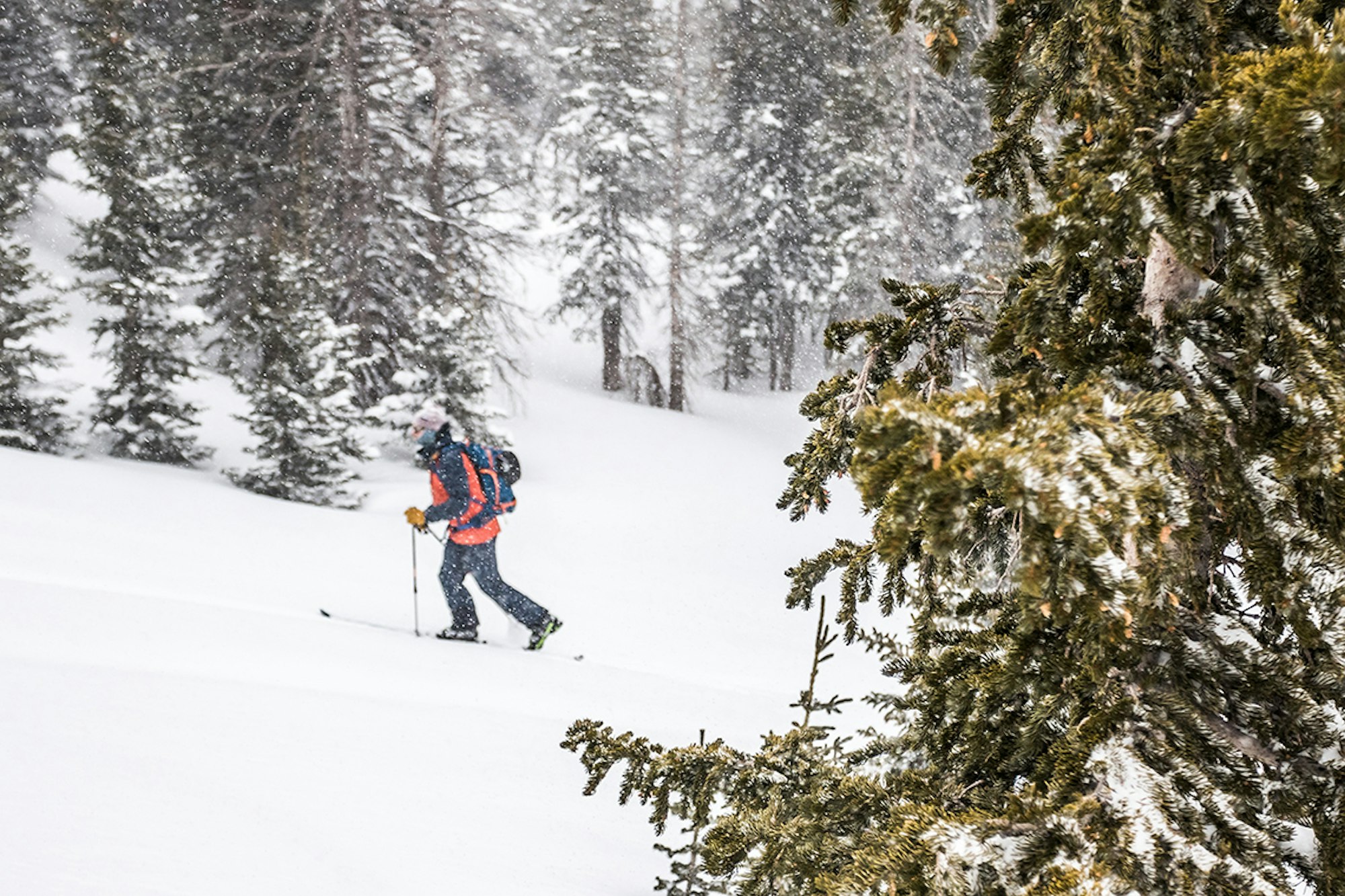 FREESKIER Does the 2019 Power of Four: Part 1, Training