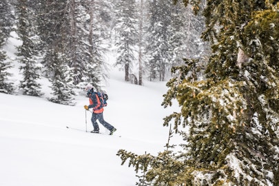 FREESKIER Does the 2019 Power of Four: Part 1, Training