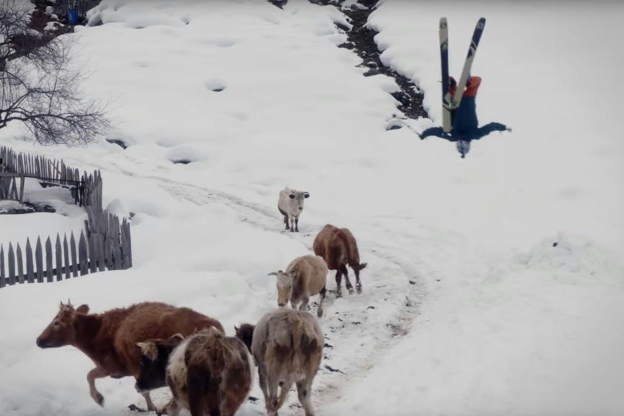 [Must Watch] Salomon TV's "Dream Trip Georgia"