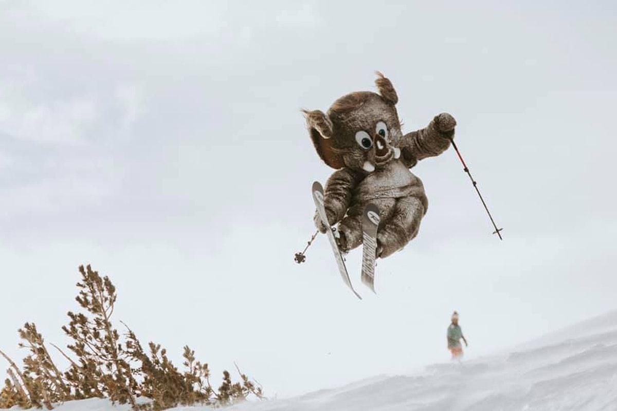 All About That Base: The deepest snow depths in North America, December 2018