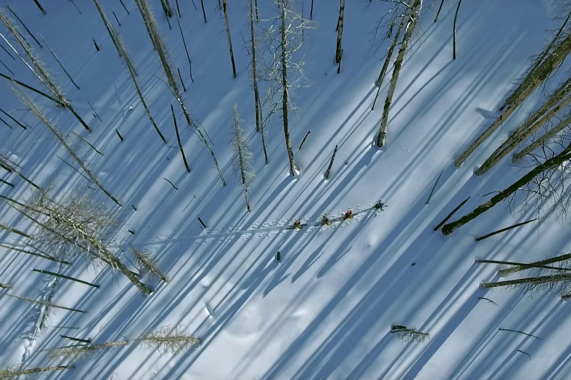 [MUST WATCH] The Fire That Saved Sun Valley