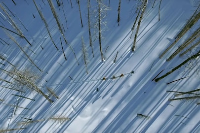 [MUST WATCH] The Fire That Saved Sun Valley