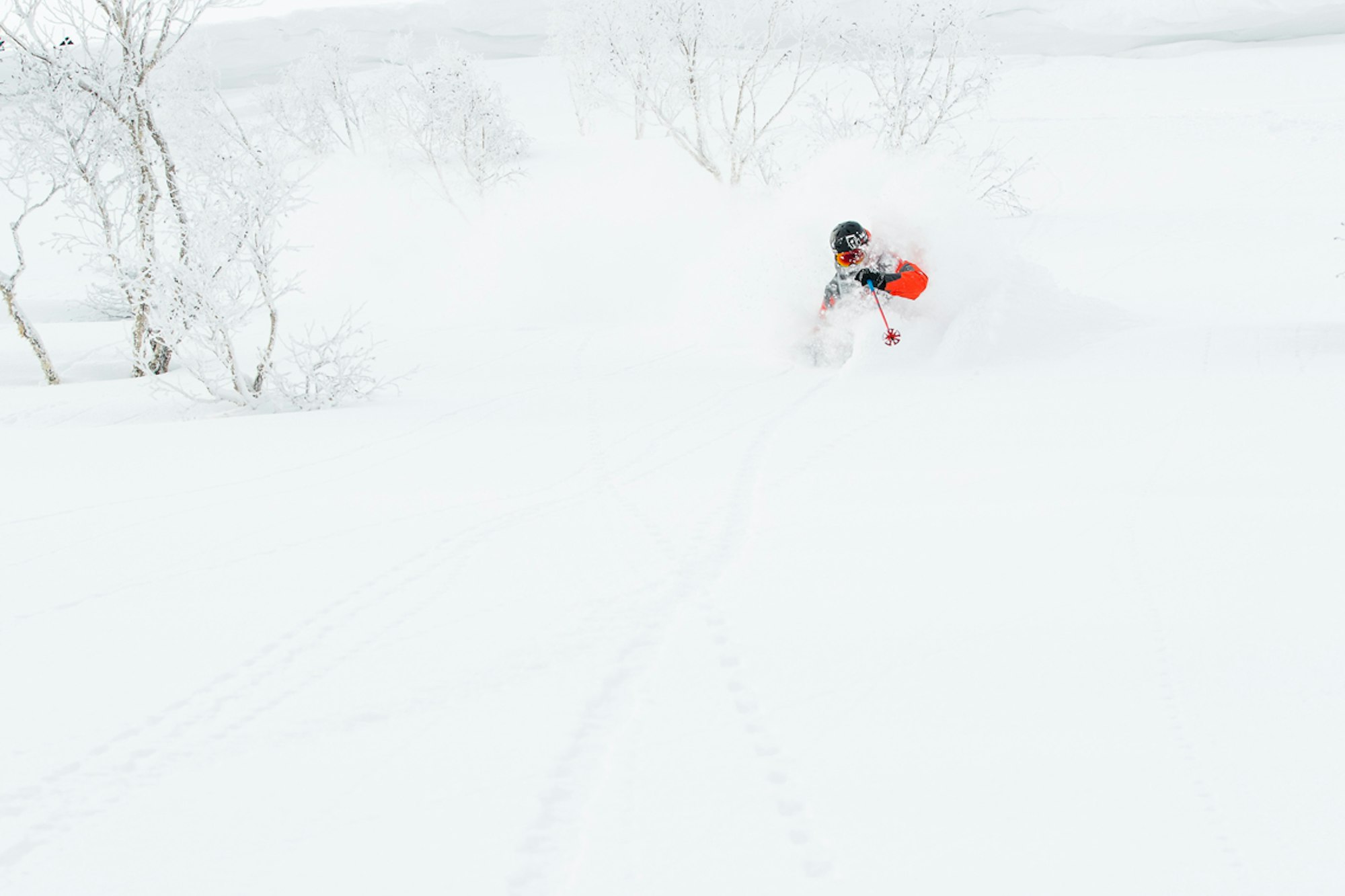 Win a trip to Japan with Gordini and Julian Carr!