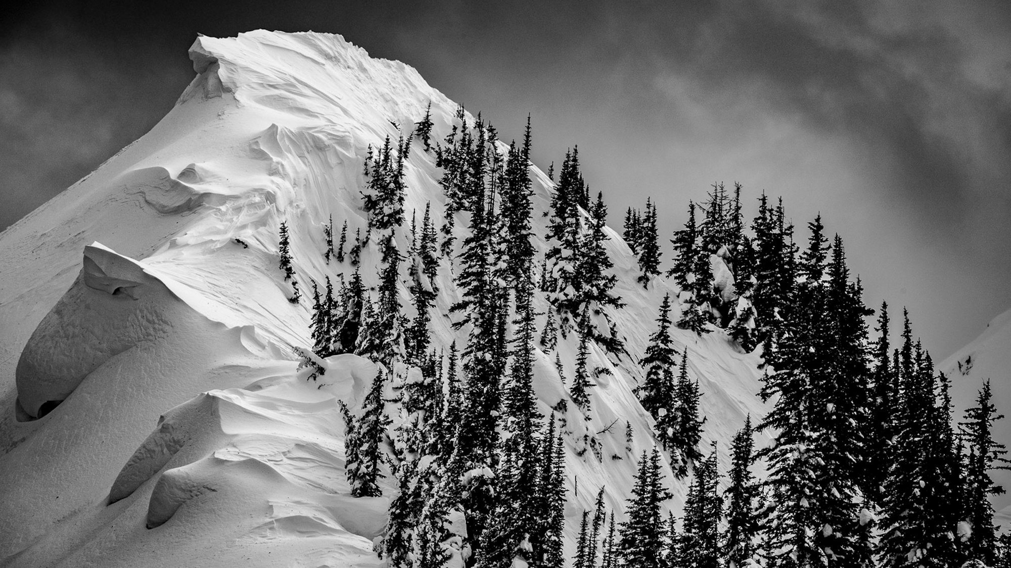 FREESKIER's 2018-19 Avalanche Education Directory