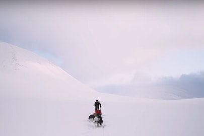 Follow Antte Lauhamaa as he searches for Sweden's best skiing on his dog sled