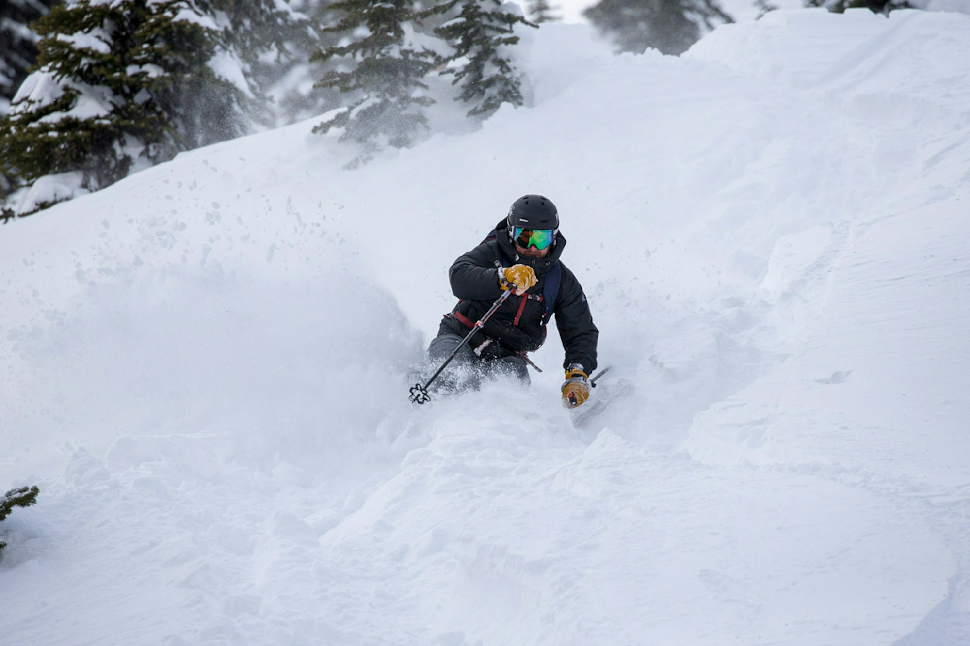 Outerwear Spotlight: Eddie Bauer