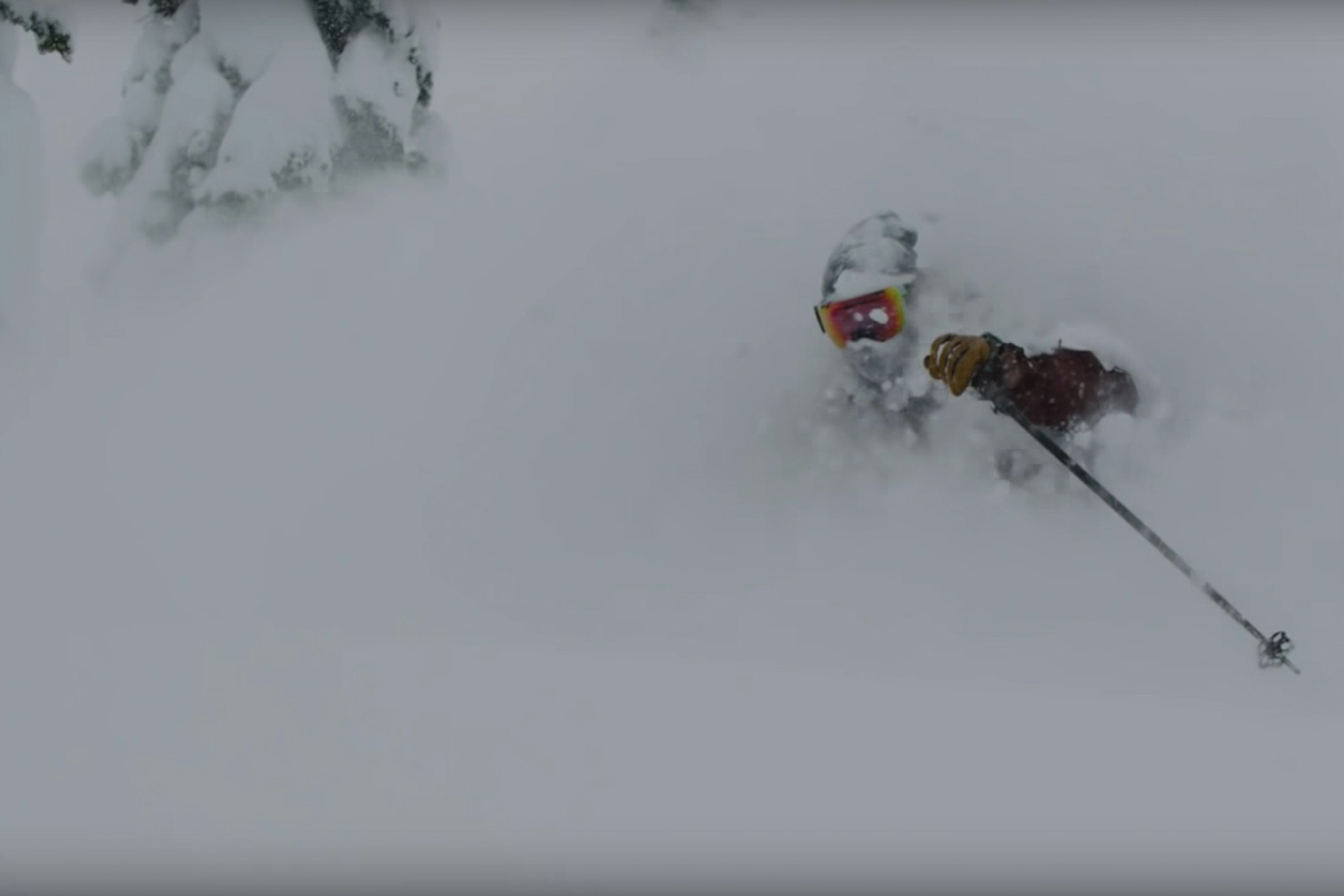 "Stray Dogs" dropped online and it's a tail-wagger