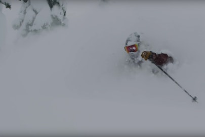 "Stray Dogs" dropped online and it's a tail-wagger