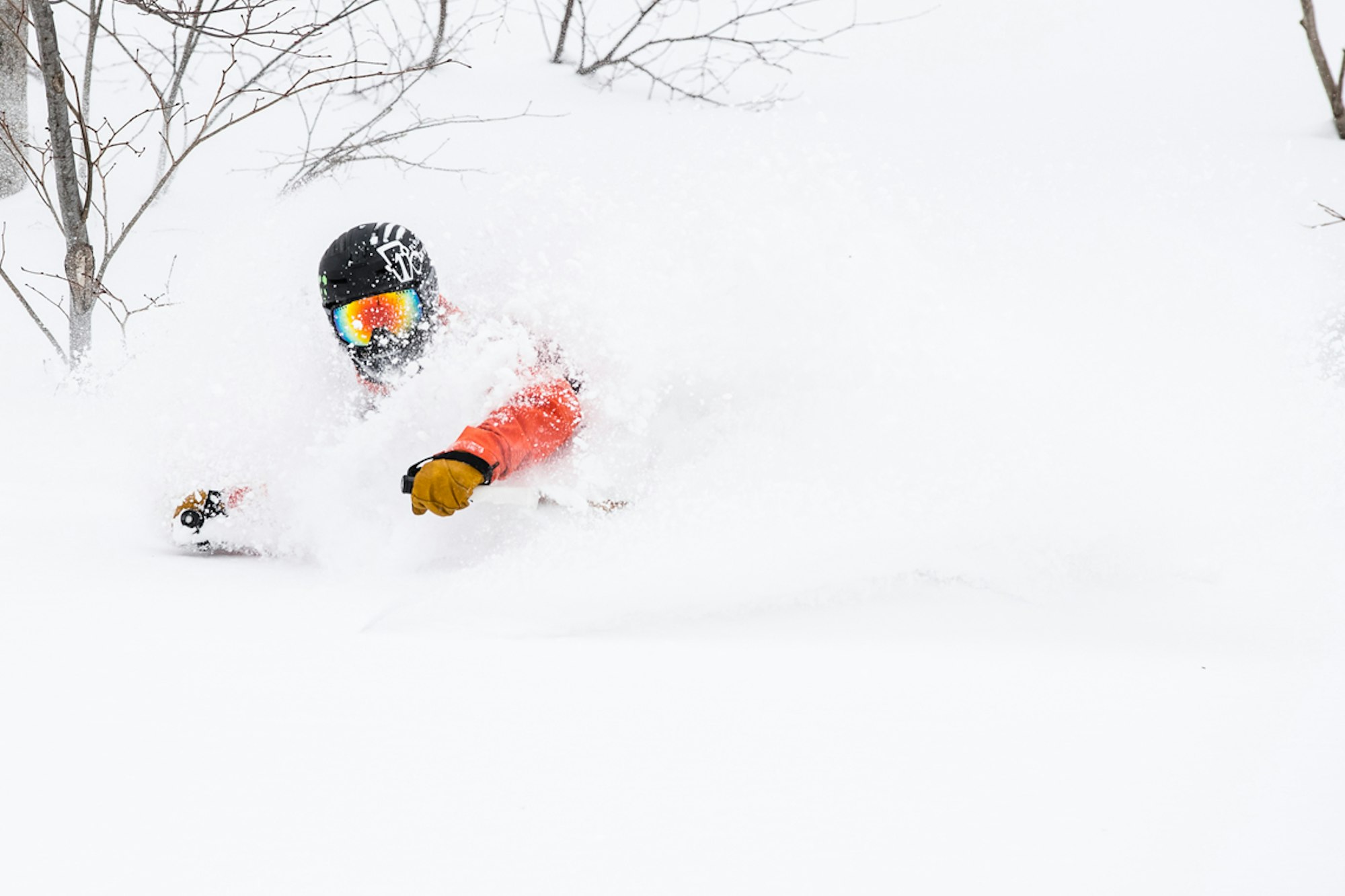 Icelantic Return to Nature: YŌTEI – DAIKO