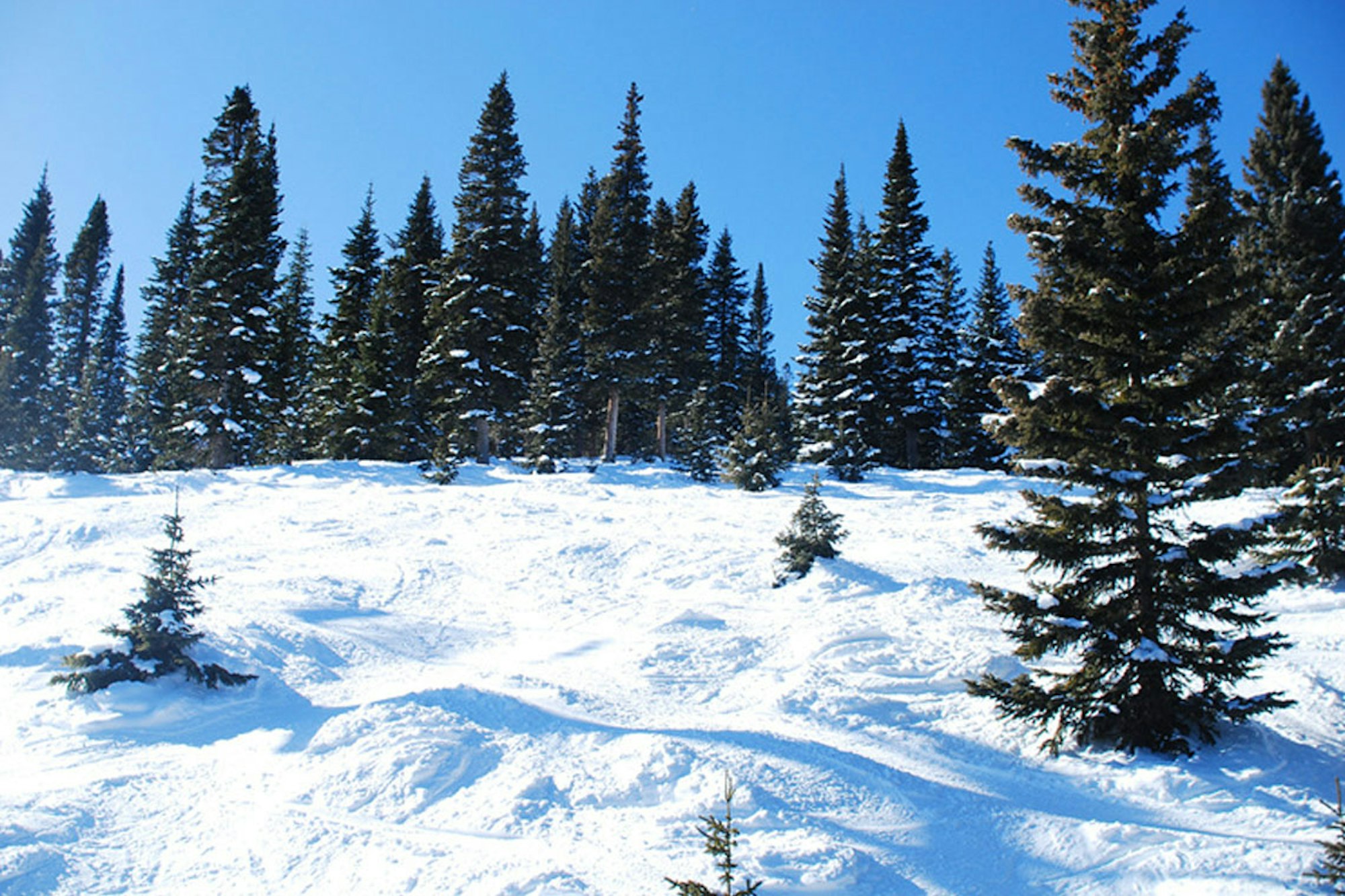 Kick off your ski season this weekend at Wolf Creek Ski Area