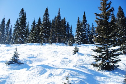 Kick off your ski season this weekend at Wolf Creek Ski Area