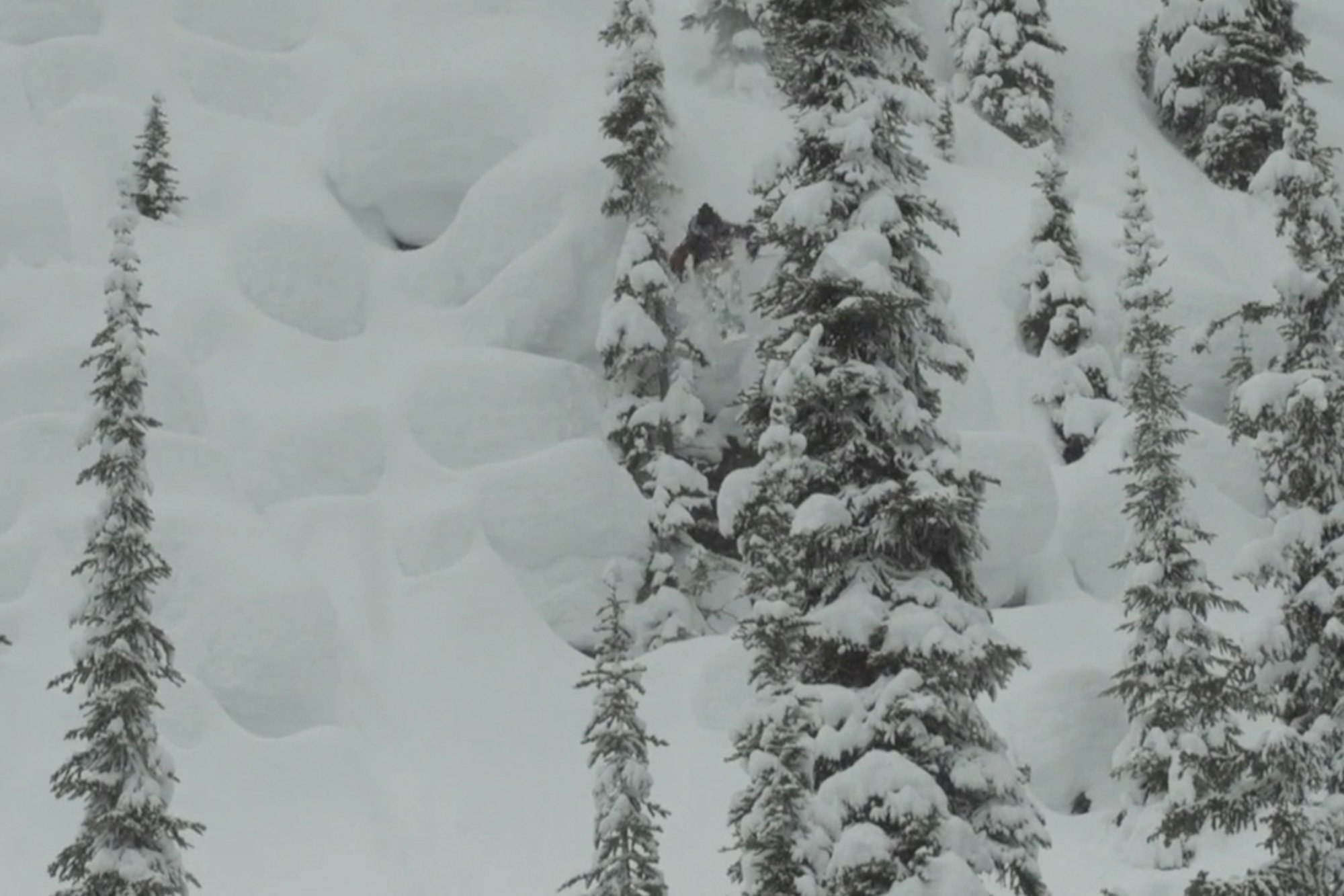 Duncan Adams slays in 2017 self edit