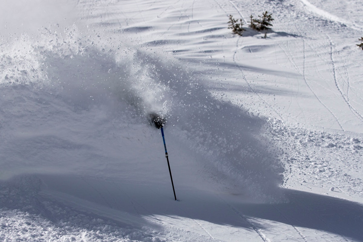 POW adds more to its arsenal for fight against climate change