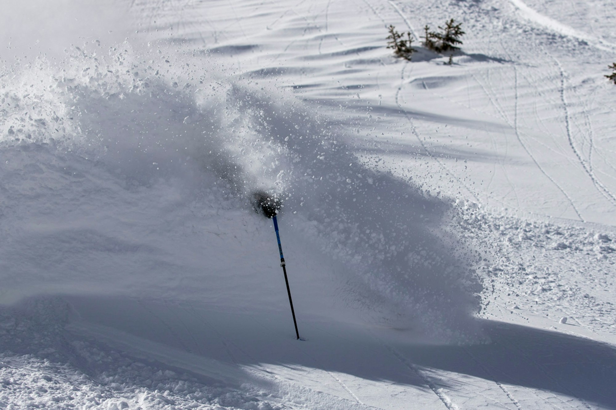 POW adds more to its arsenal for fight against climate change