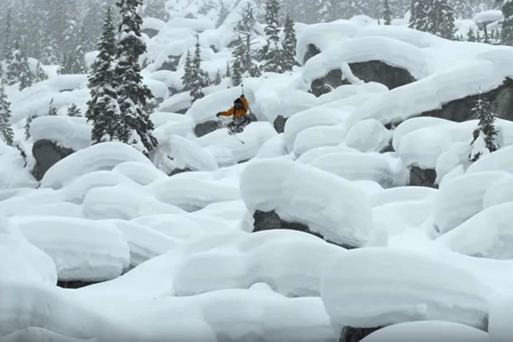 Wiley Miller is back at it with an edit to envy