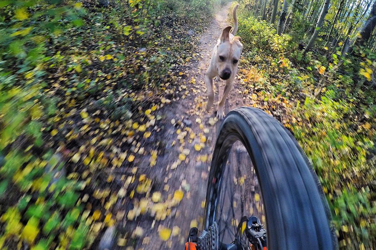 20 essential mountain biking products for tearin' up the single track