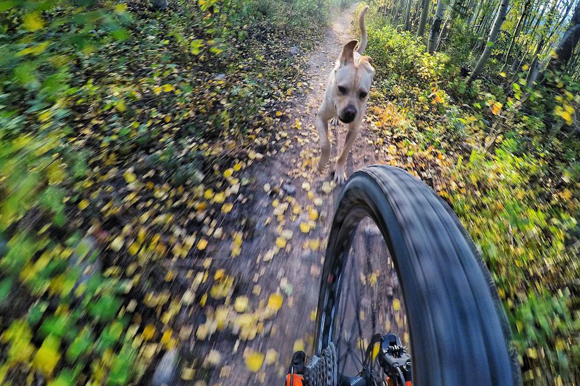 20 essential mountain biking products for tearin' up the single track