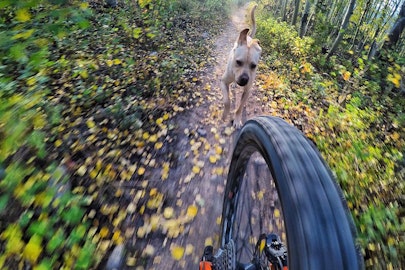 20 essential mountain biking products for tearin' up the single track