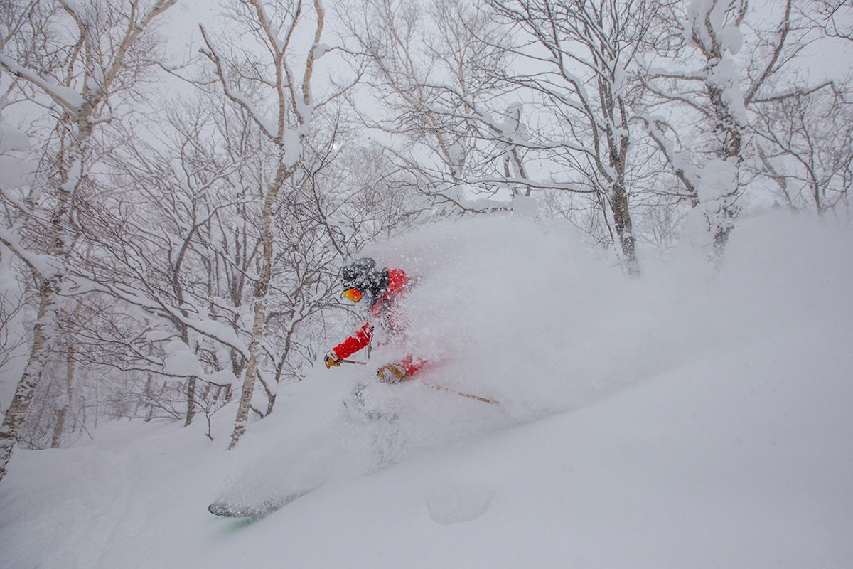 Japan: Yes, you can!