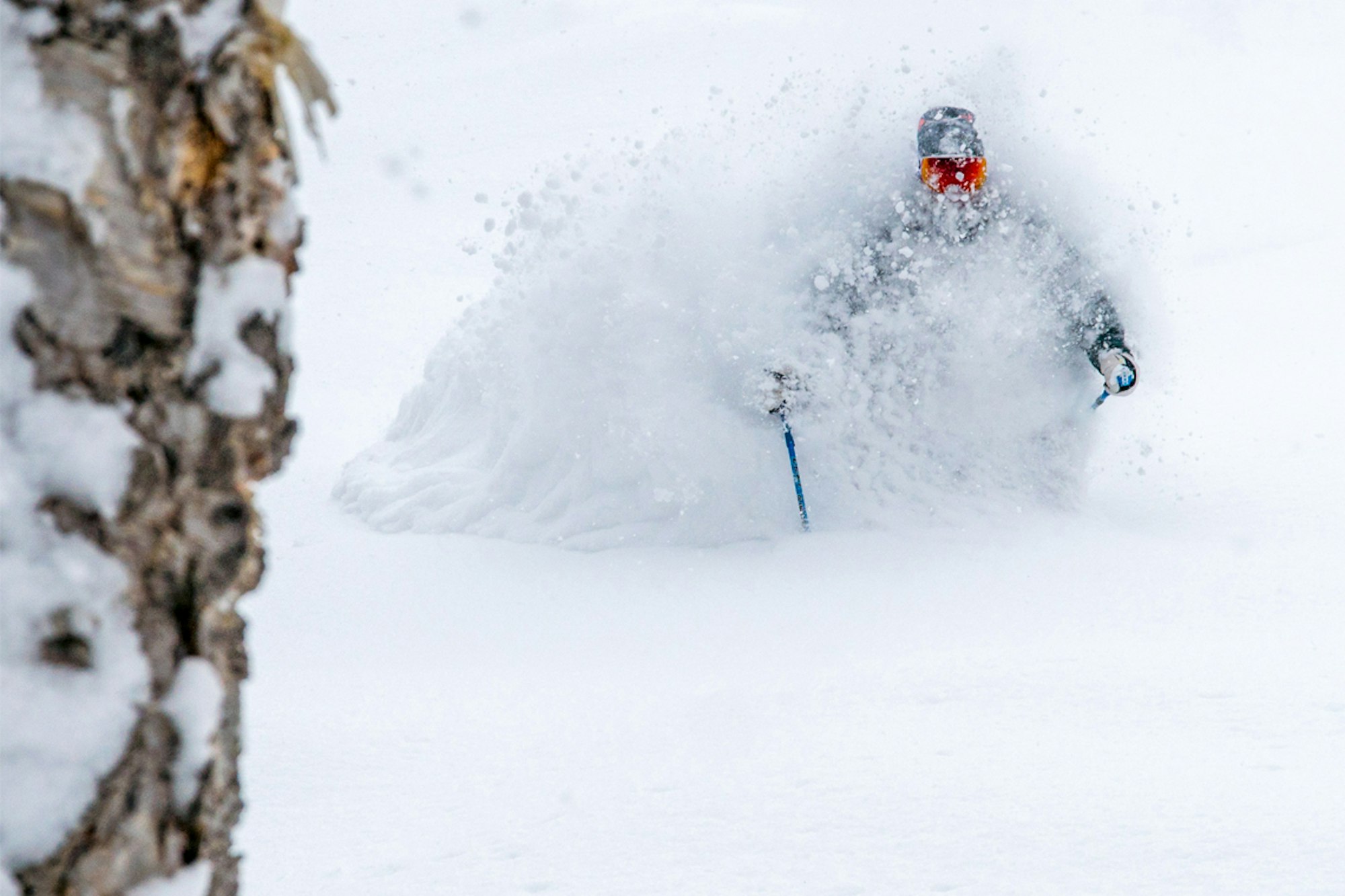 Immerse yourself in bottomless Japanese snow with the Polartec crew