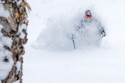 Immerse yourself in bottomless Japanese snow with the Polartec crew