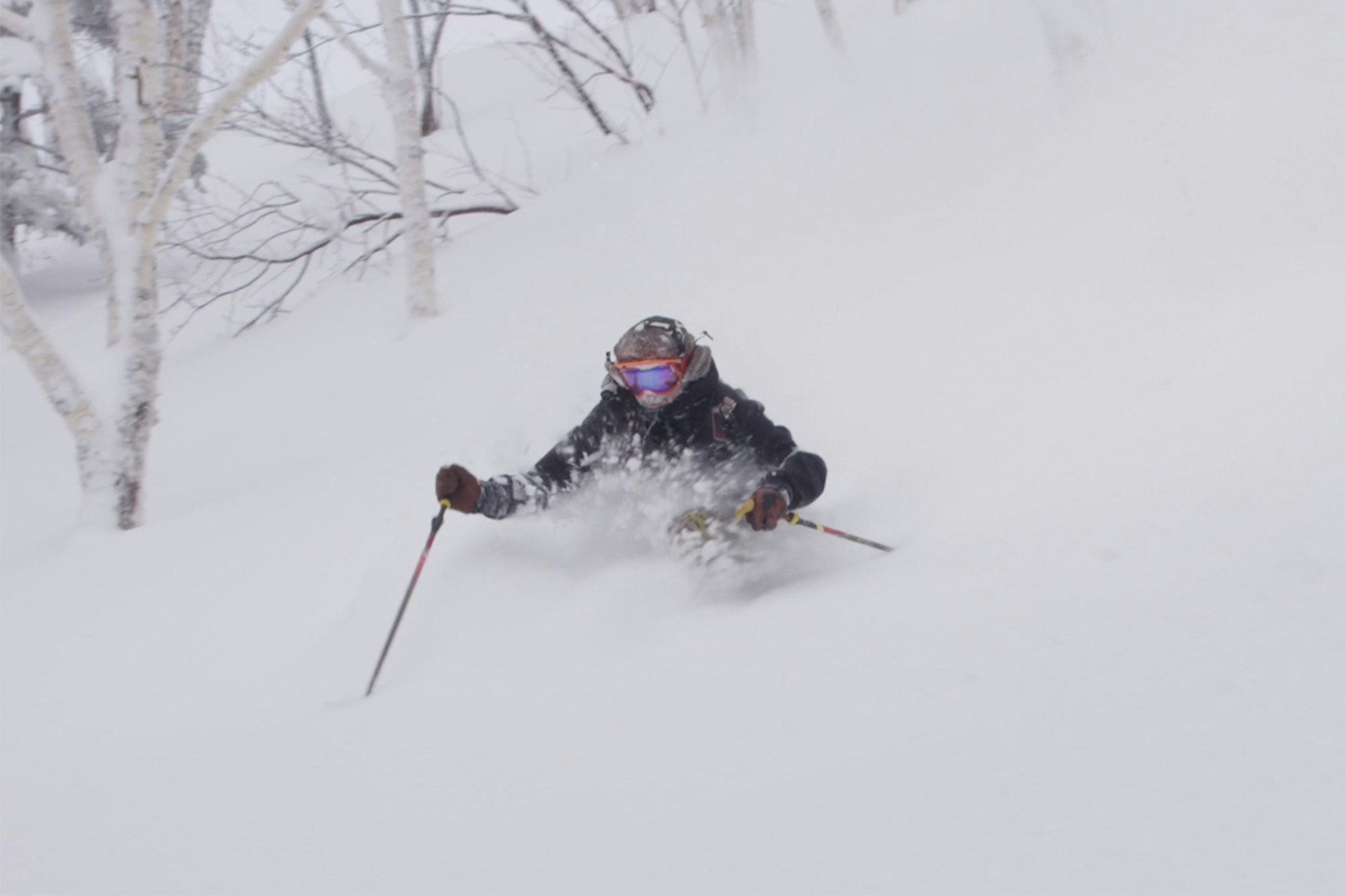 The last great snow ninjas