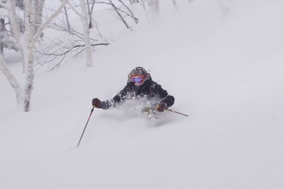 The last great snow ninjas